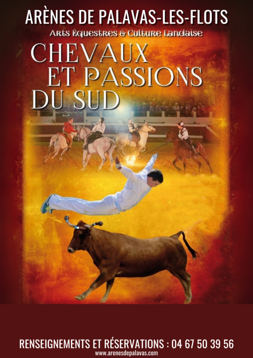 Spectacle équestre landais 