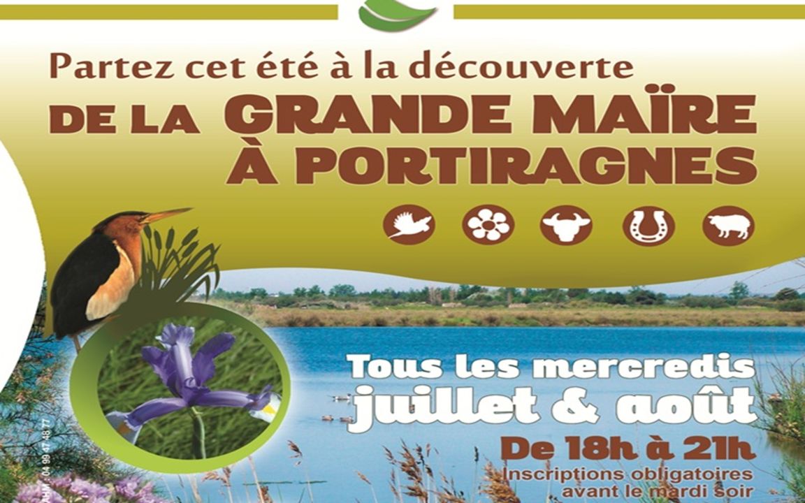 Découverte de la Grande Maïre, Site Naturel Protégé_Portiragnes-Plage_1