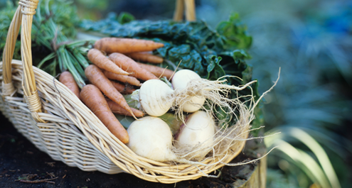 marché produits locaux légumes