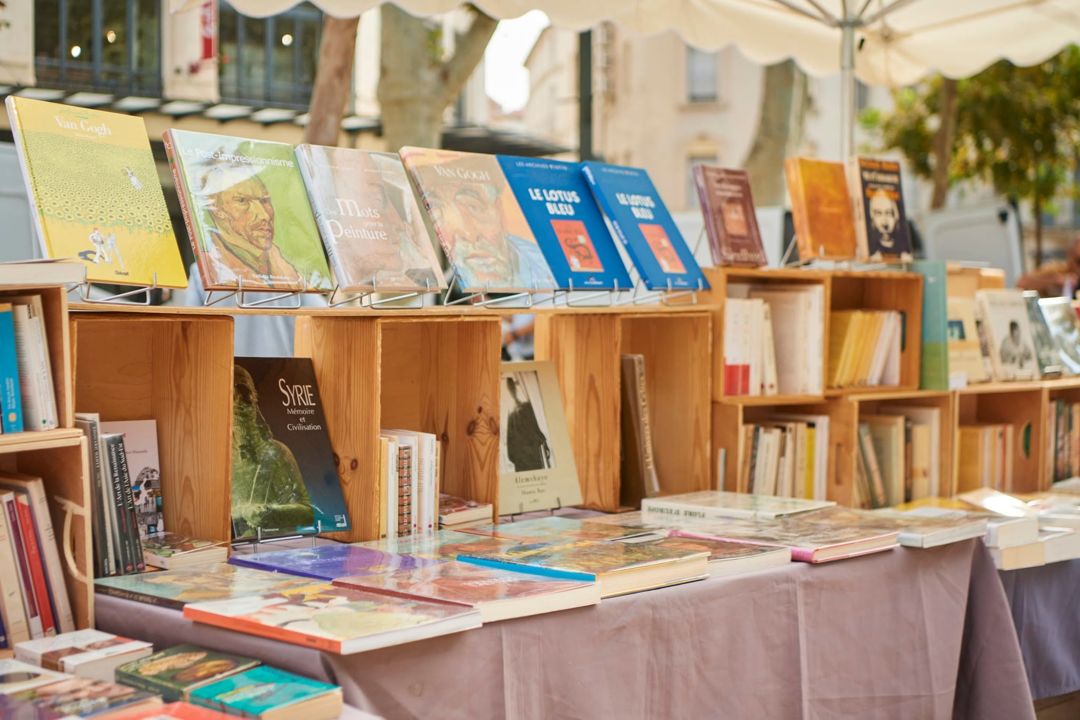 Les Allées du bouquin_Béziers_1