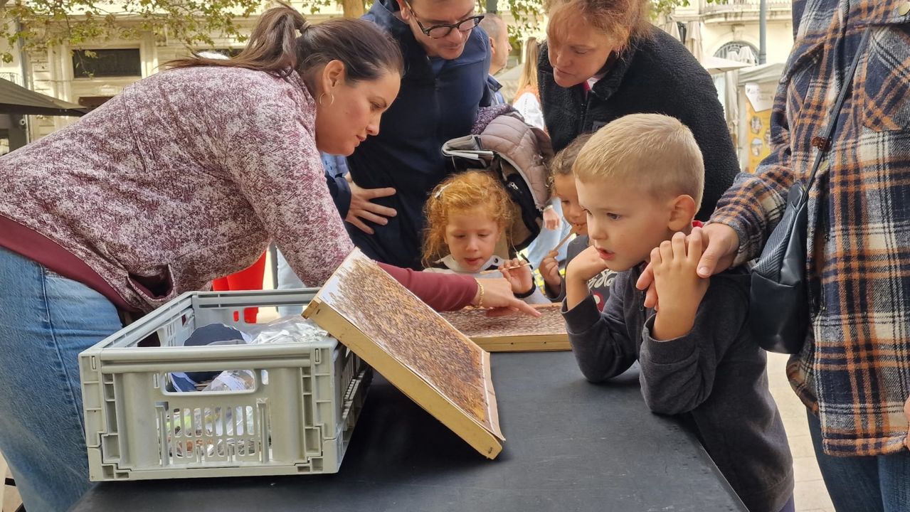 Fête du Miel_Béziers_1