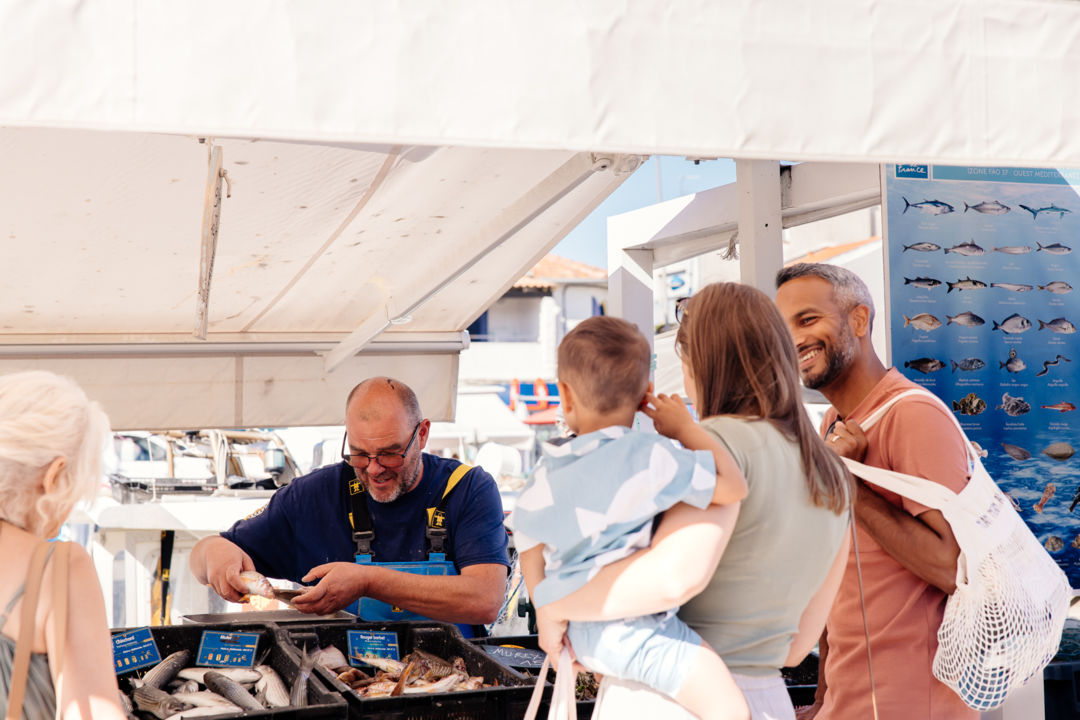 Festival des 4 saison 