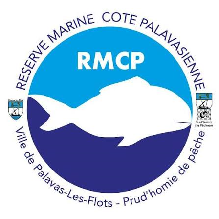 Atelier jeux avec l'AGRMCP_Palavas-les-Flots_1