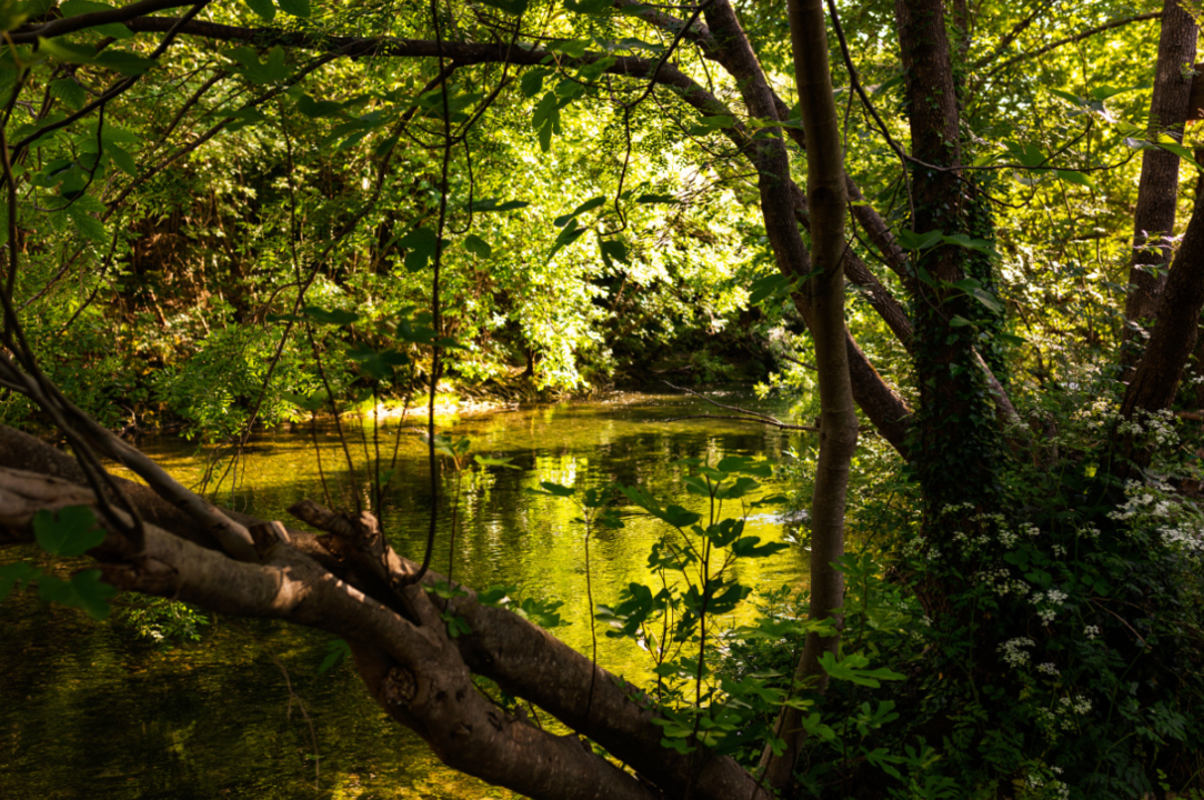 Aire aménagée de Gorniès_Gorniès_1