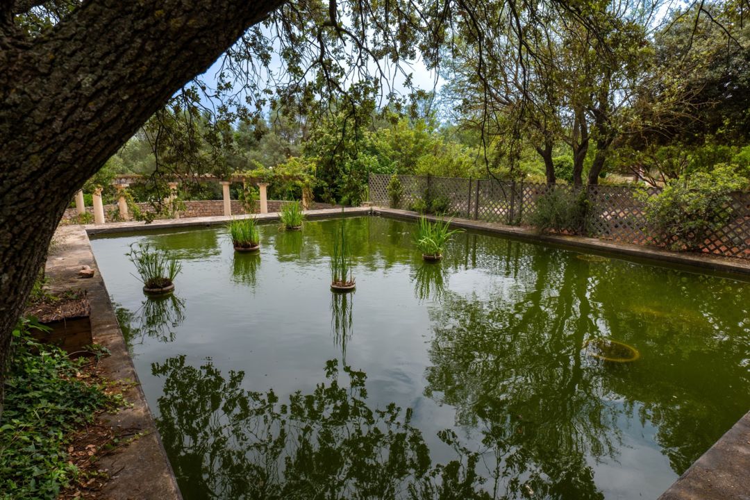 Jardin Antique Méditerranéen