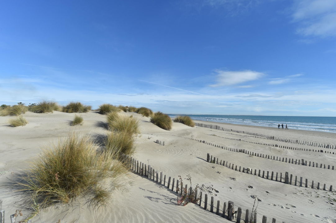 9372_531_illustration-herault-littoral