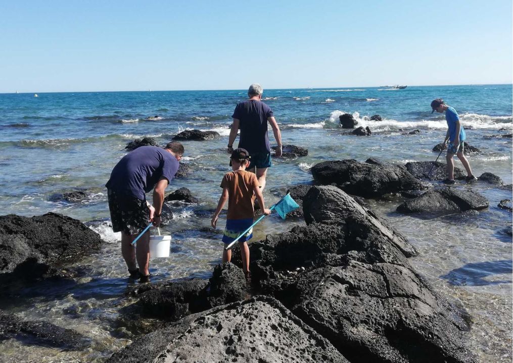 A LA DECOUVERTE DU LITTORAL