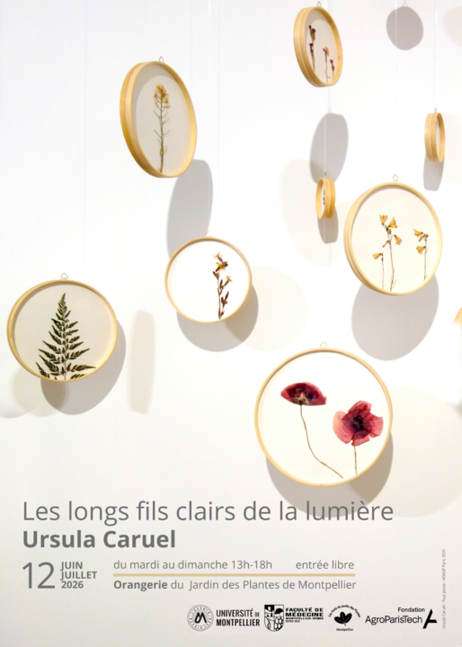 AFFICHE - Amis du Jardin des Plantes
