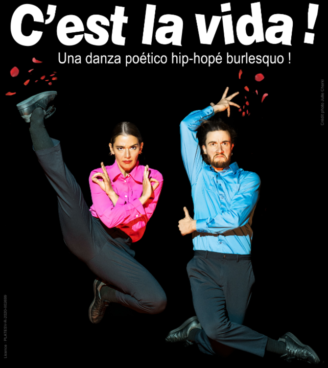 AFFICHE C EST LA VIDA