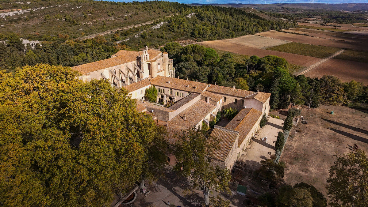Abbaye Sainte-Marie de Valmagne