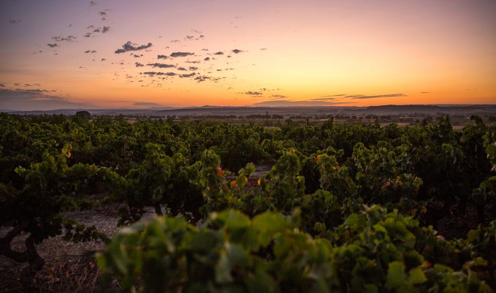 La Clairette d'Adissan