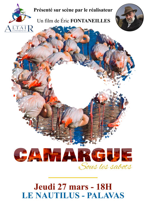 Affiche CAMARGUE - PALAVAS