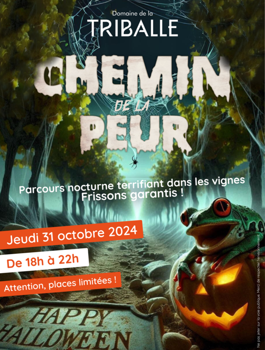 Affiche Chemin de la Peur