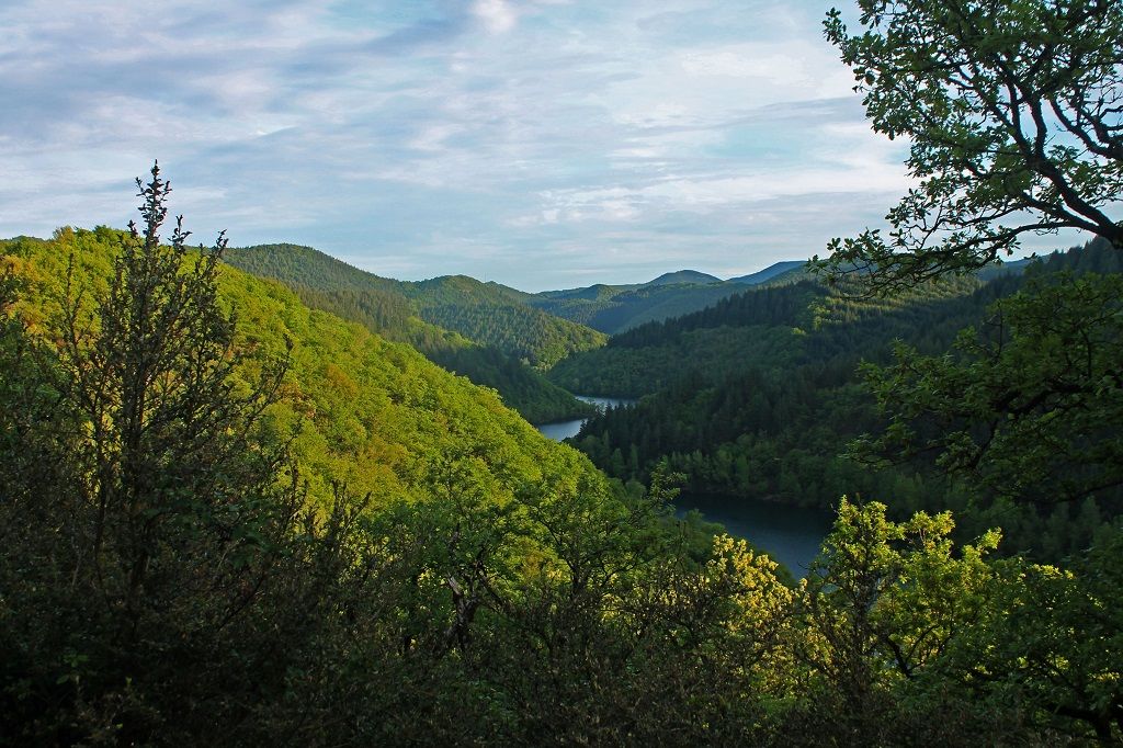 Aire Naturelle de Camping à Lascours