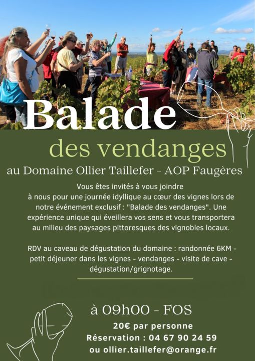 Balade vigneronne des vendanges - 1
