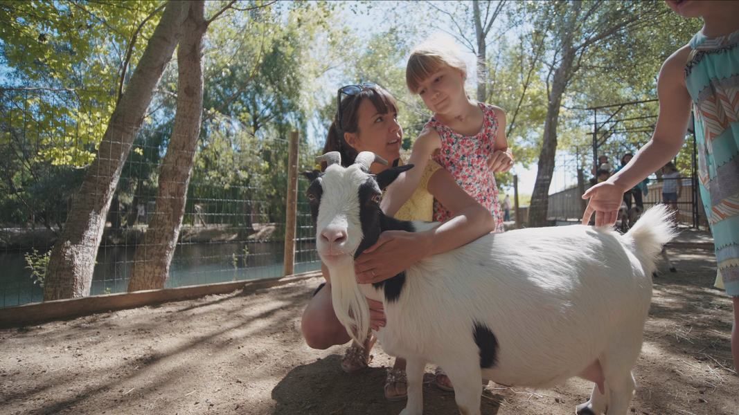 chèvre maman et sa fille