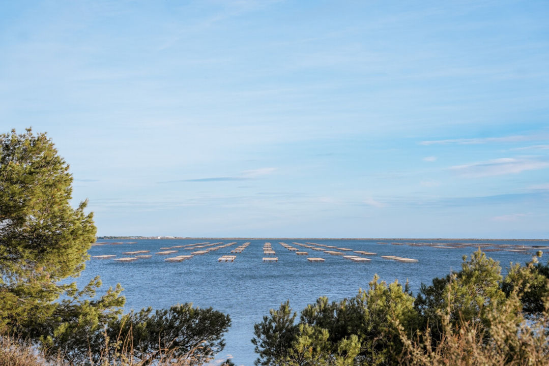 Le domaine de Bellevue