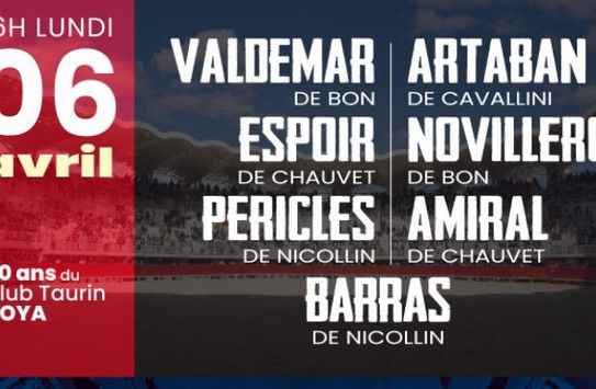 Capture d’écran 2026-03-27 154042