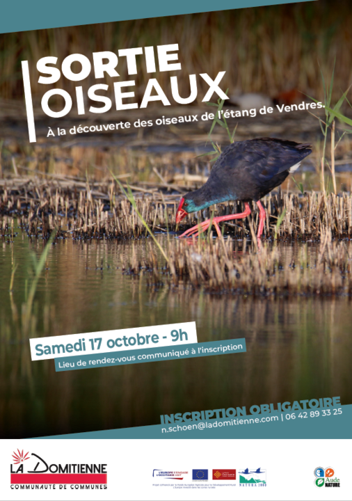 Capture d'écran 2026-09-10 102350