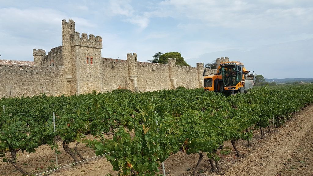 Château Grézan - 20170816_102421