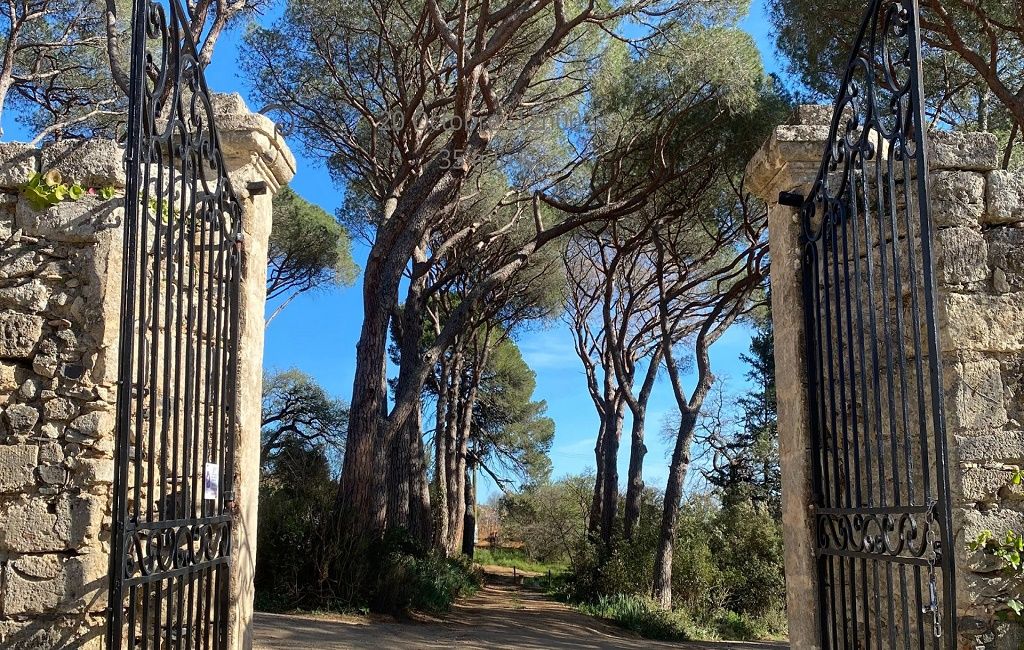 Château du parc