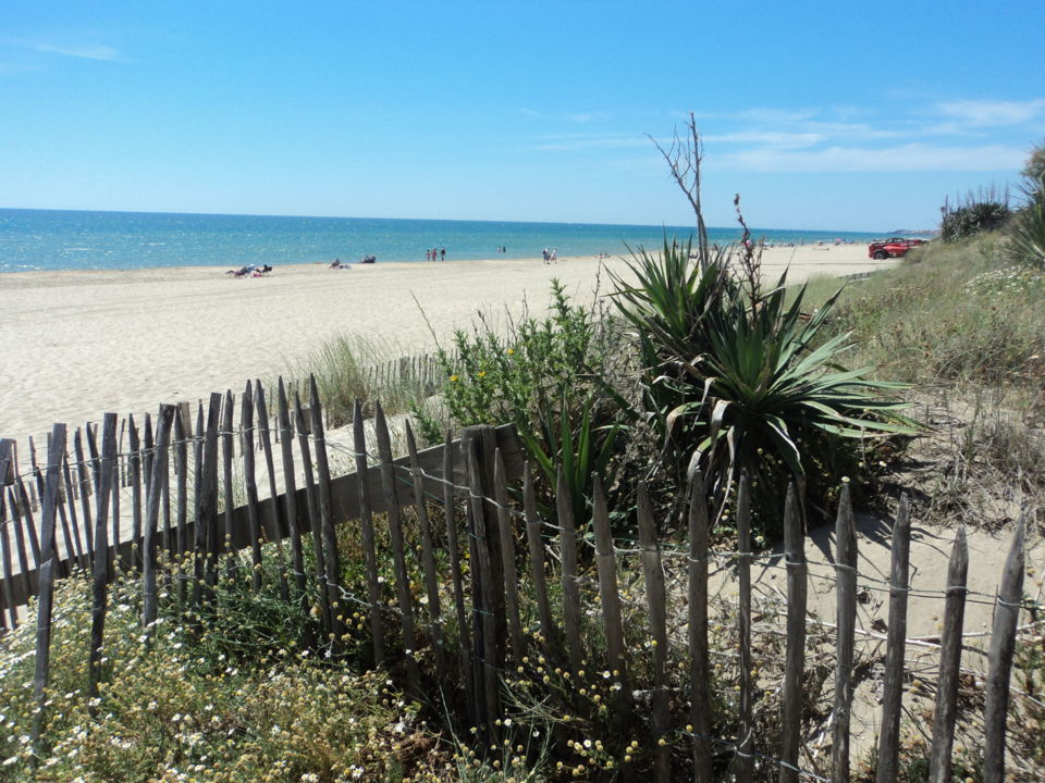 Dunes et Soleil Vue Plage