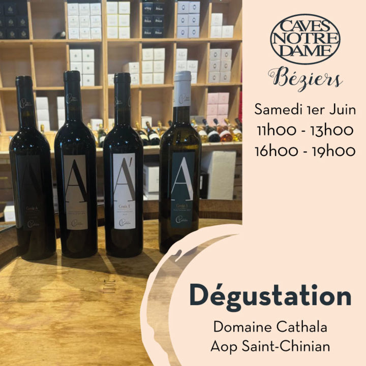 Degustation-Domaine-Cathala-degustation-2024