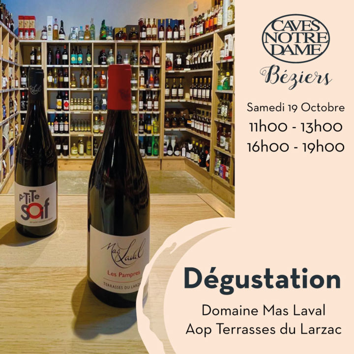 Degustation-Domaine-Mas-Laval-Aop-Terrasses-larzac