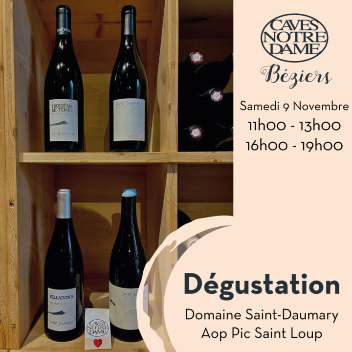 Degustation-Domaine-Saint-daumary-valflaunes