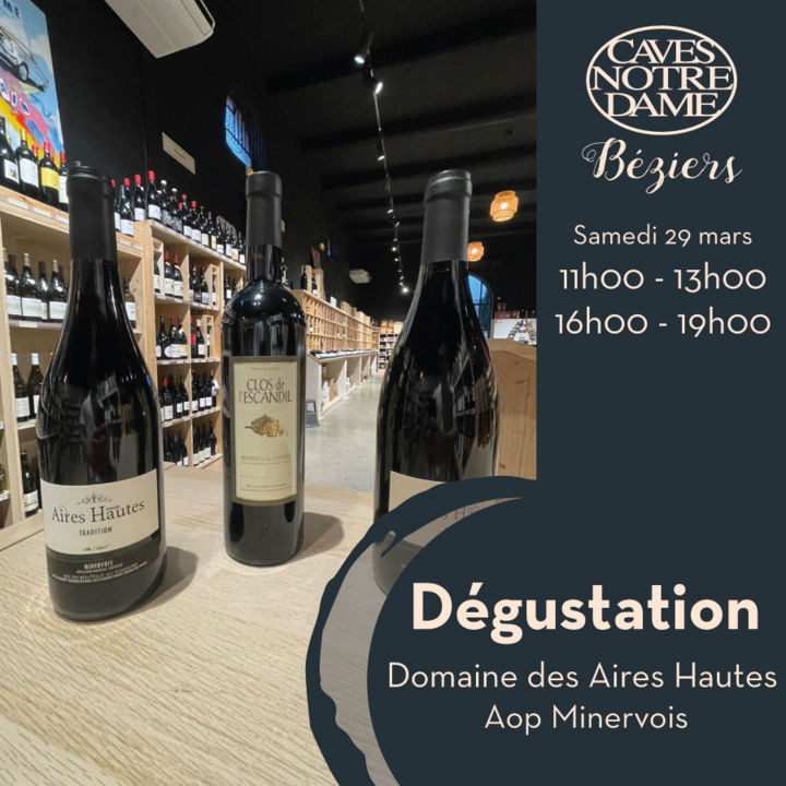 Degustation-Domaine-les-Aires-Hautes-2025