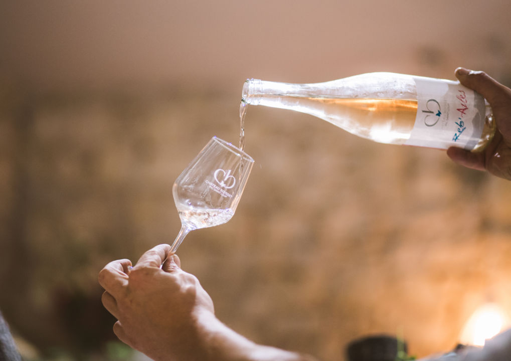 Degustation et visite de cave