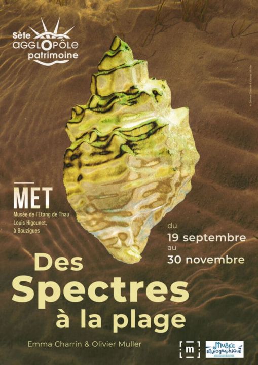 EXPOSITION DES SPECTRES A LA PLAGE