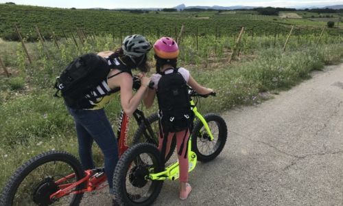 Balade dans le vignoble en trotinnette électrique