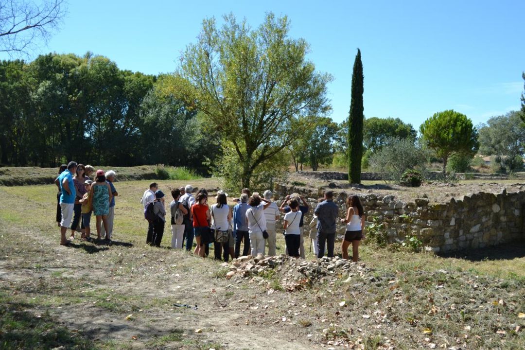 Fig.6