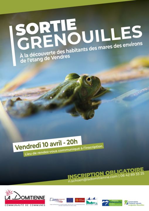 Flyer-Frequence-Grenouilles-10-AVRIL-2026-WEB-1-1086x1536