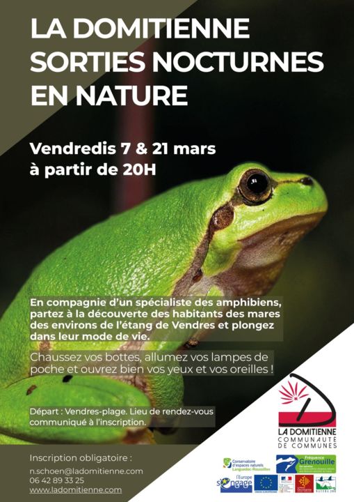 Flyer-Frequence-Grenouilles-2025-7-et-21-Mars-1086x1536