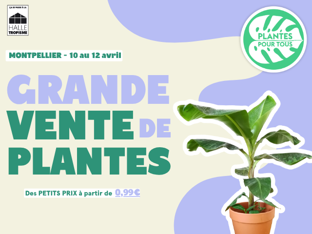 Halle_Tropisme_-_Site_internet