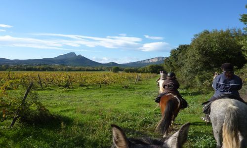 Haras de Castries_rando 2