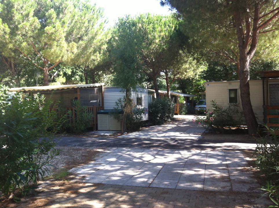 Camping Les Dunes Dorées**