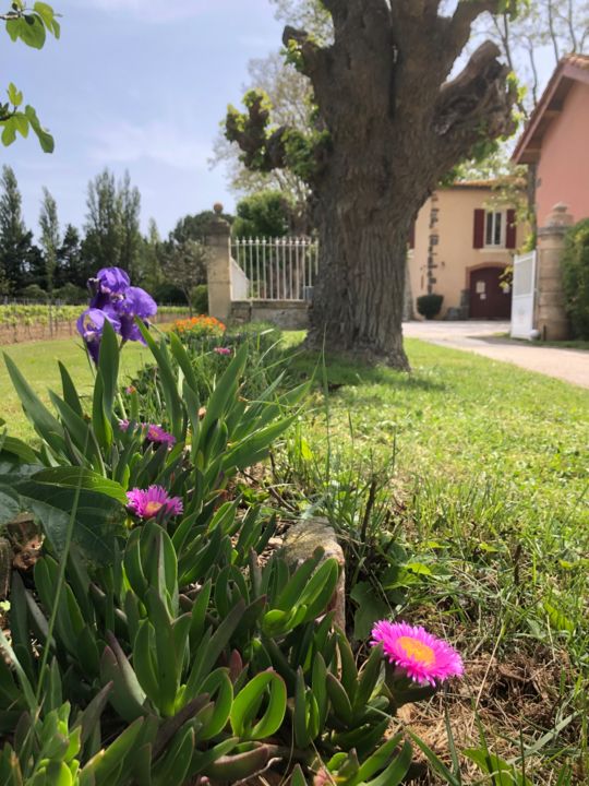 Domaine de Saint-Pierre à Vias-Plage