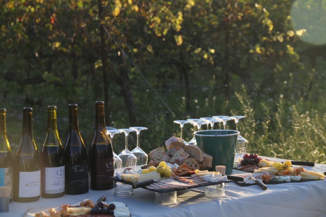 Pic on the sunset 2 - Château Boisset