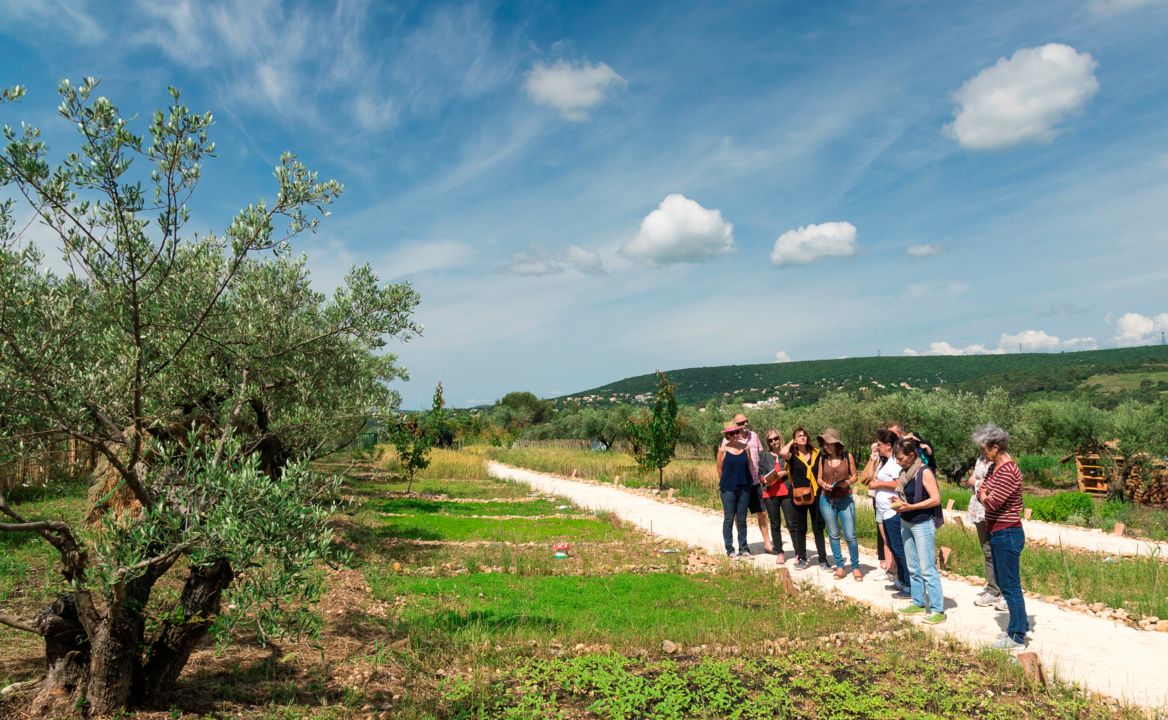 Domaine de l'Oulivie - Journée porte ouverte - 2 juin 2018 - Combaillaux