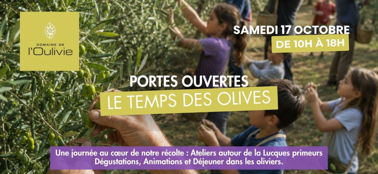 JSF-LE TEMPS DES OLIVES- EVENT-PHOTO