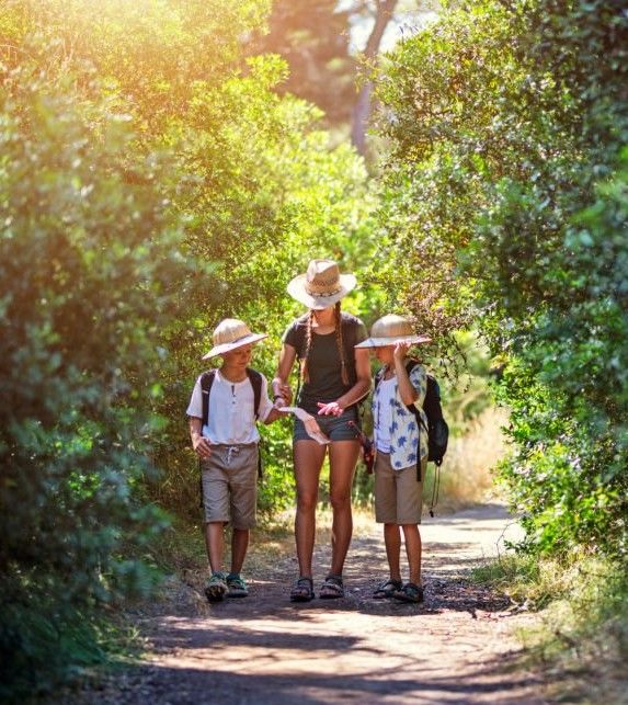 Three kids playing exploration and treasure hunt. Brothers and sister hiking through forest,
Sunny summer day.
Nikon D850