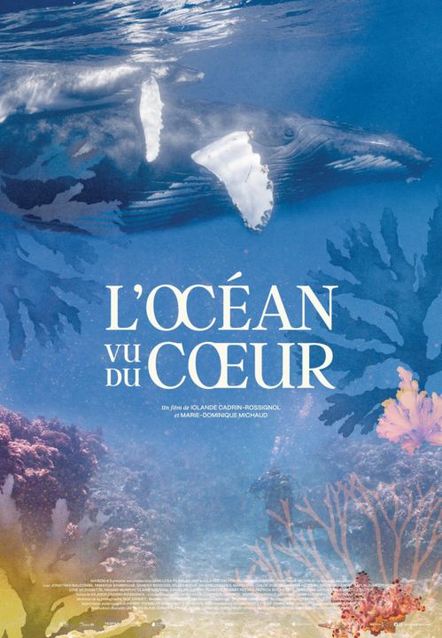 L'Océan vu du coeur