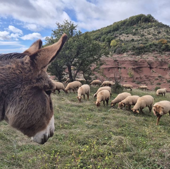 LA VALLEE DES Z'ANES