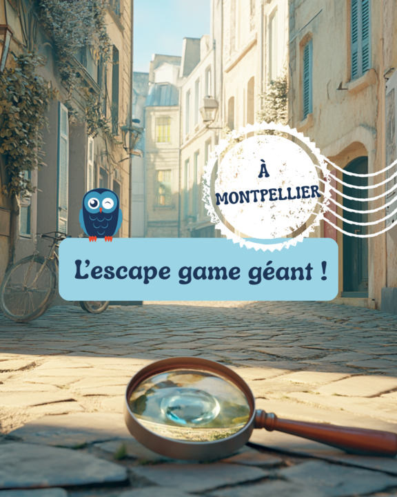Visuel enquête Montpellier