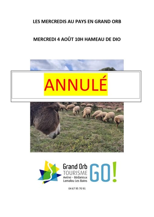 LES MERCREDIS AU PAYS EN GRAND ORB 1024 T
