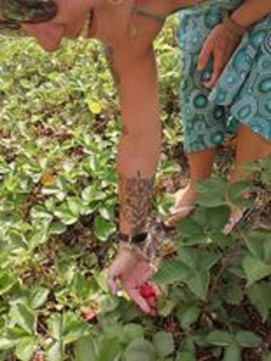 LES REVES D'ANNABELLE