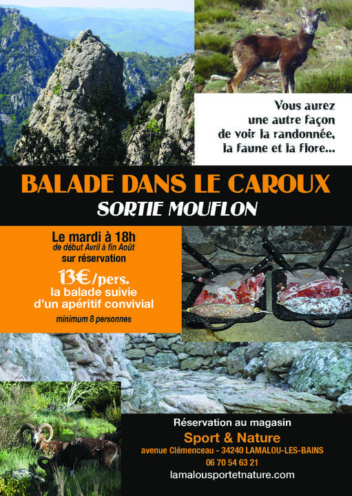 LLB balade mouflon